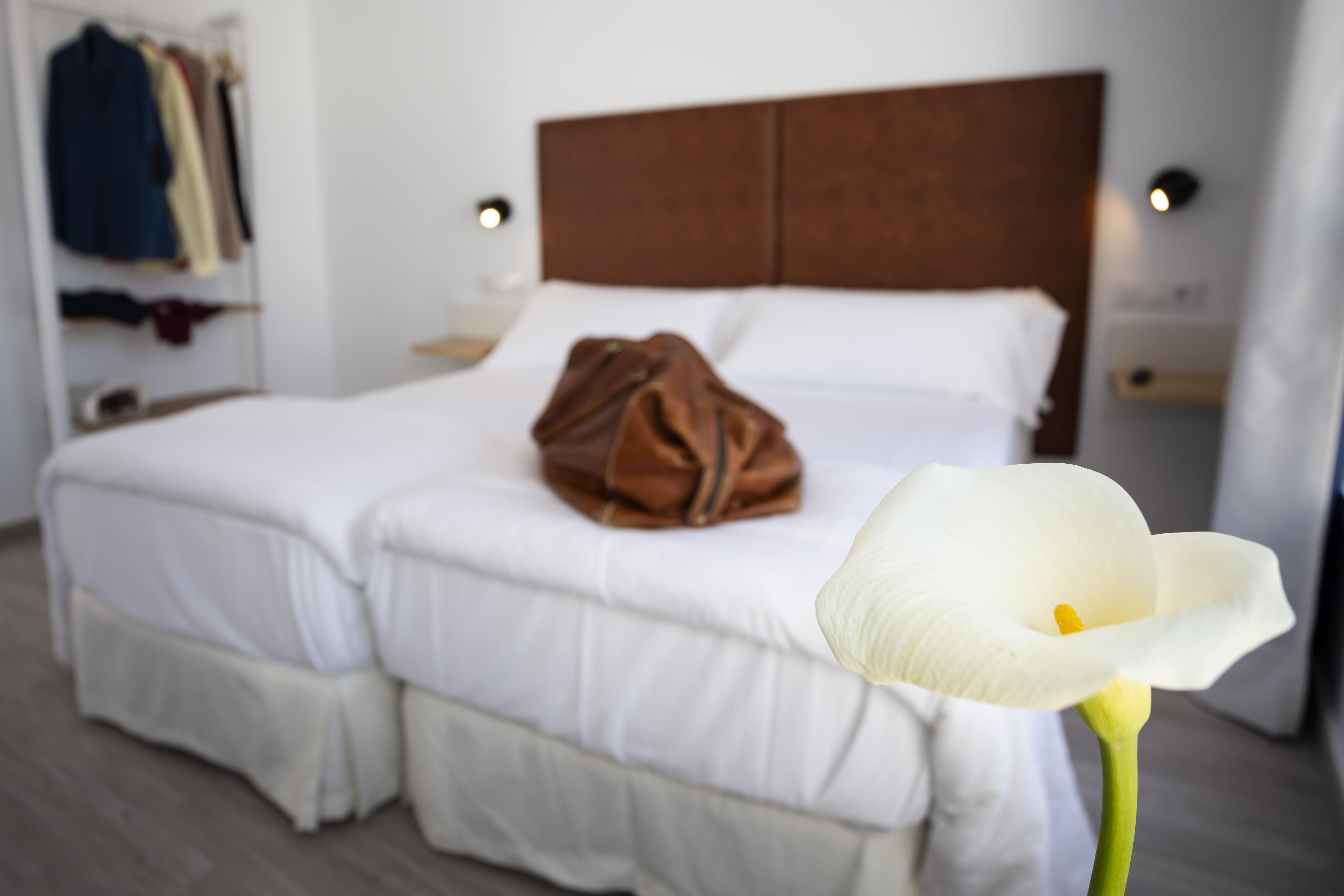 Basic Catedral Hotel Seville